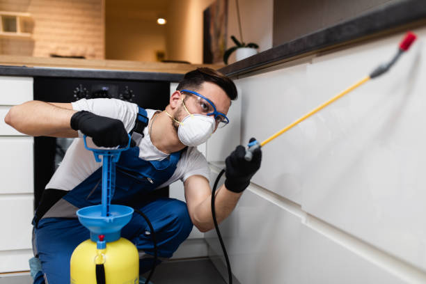 Flea Control Services in Fairfax, CA