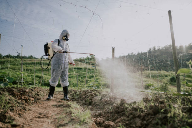 Best Local Pest Control Services  in Fairfax, CA