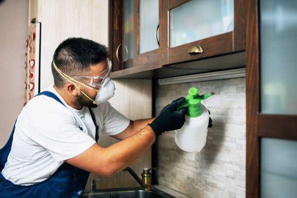 Best Flea Control Services  in Fairfax, CA
