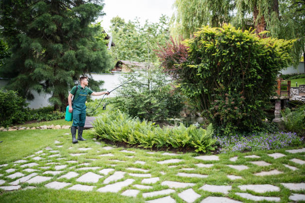 Best Wildlife Control Services  in Fairfax, CA