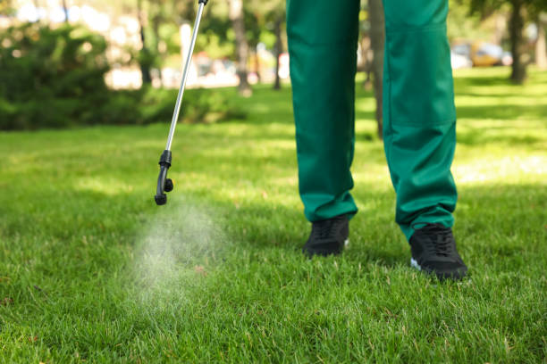 Best Cockroach Control Services  in Fairfax, CA