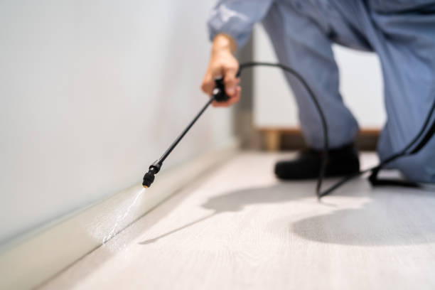 Trusted Fairfax, CA Pest Control Experts