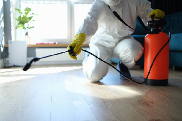 Best Pest Control for Businesses  in Fairfax, CA