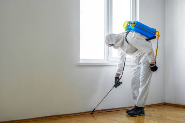 Best Cockroach Control Services  in Fairfax, CA
