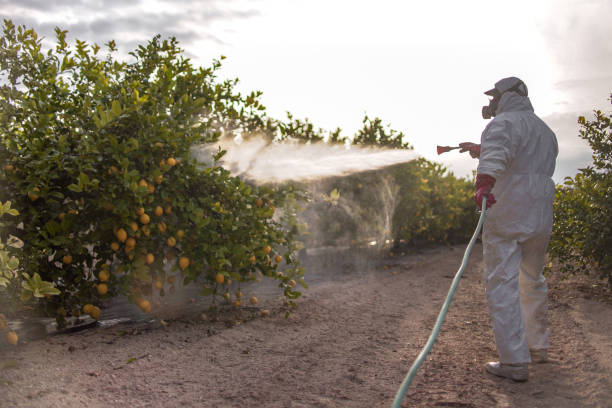Best Pest Control Near Me  in Fairfax, CA