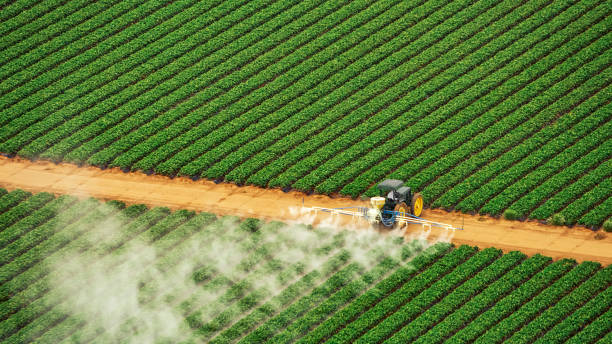 Best Mosquito Control Services  in Fairfax, CA