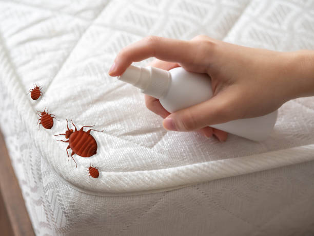 Best Pest Prevention Services  in Fairfax, CA