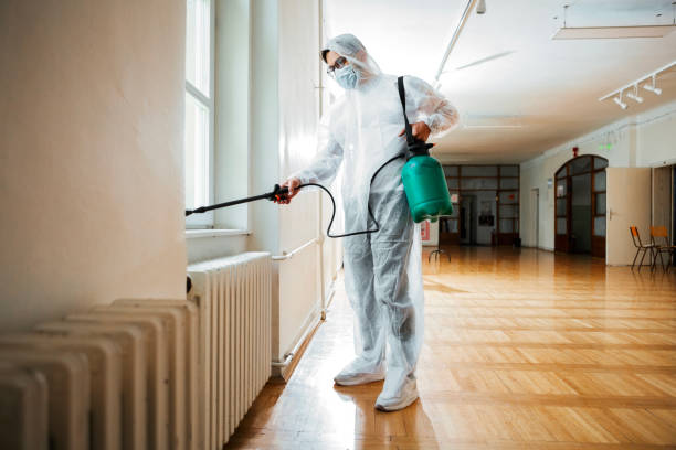 Best Wasp Removal Services  in Fairfax, CA