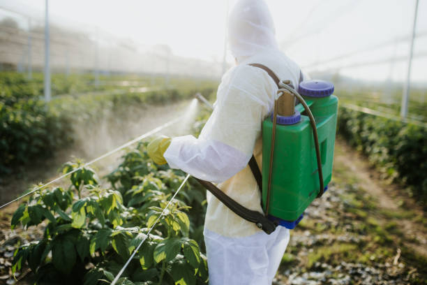 Best Pest Control Treatment  in Fairfax, CA